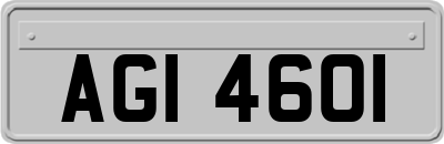 AGI4601