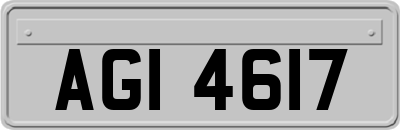 AGI4617