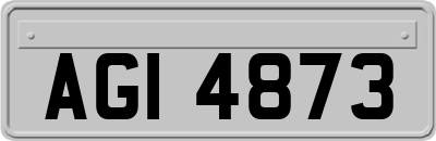 AGI4873
