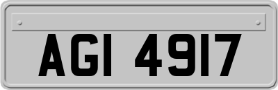 AGI4917