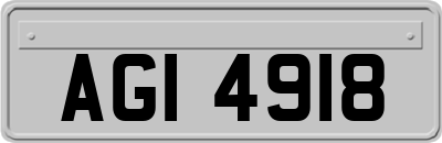AGI4918