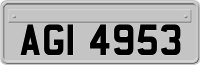 AGI4953