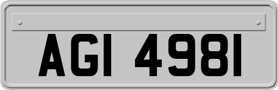 AGI4981