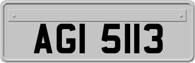 AGI5113