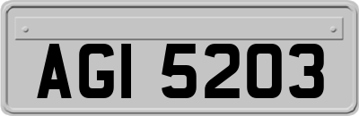 AGI5203