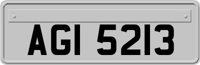 AGI5213