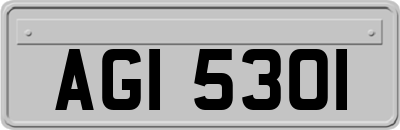 AGI5301