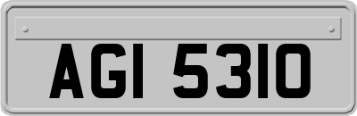 AGI5310