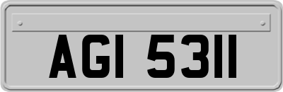 AGI5311