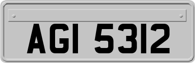 AGI5312