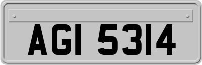 AGI5314
