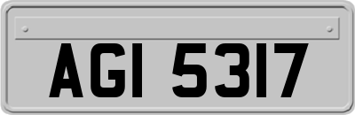 AGI5317