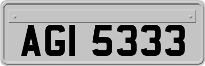 AGI5333
