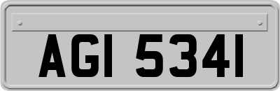 AGI5341