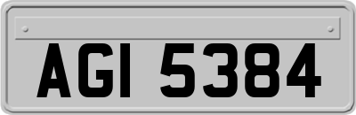 AGI5384
