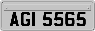 AGI5565