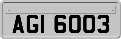AGI6003