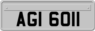 AGI6011