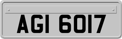 AGI6017
