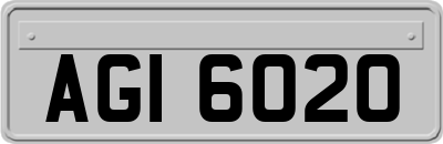 AGI6020