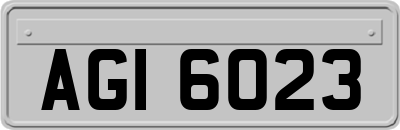 AGI6023