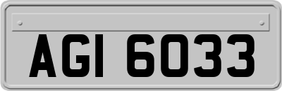 AGI6033