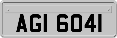 AGI6041