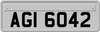 AGI6042
