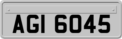 AGI6045