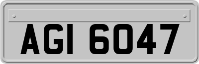 AGI6047