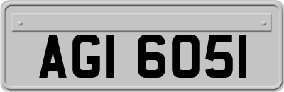 AGI6051
