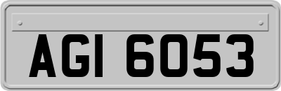 AGI6053