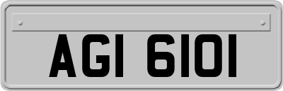 AGI6101
