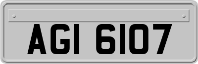 AGI6107