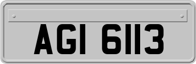 AGI6113