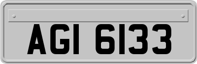 AGI6133