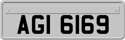 AGI6169