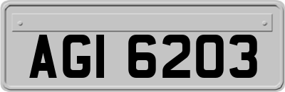 AGI6203