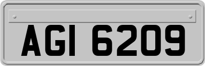 AGI6209