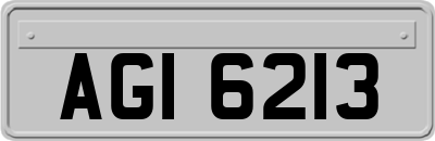AGI6213