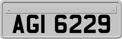 AGI6229
