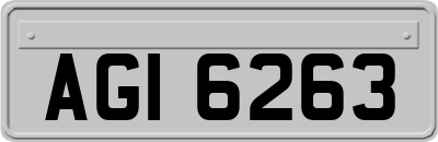 AGI6263