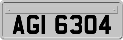 AGI6304