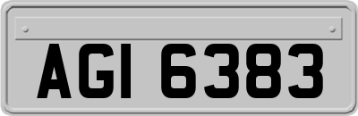 AGI6383