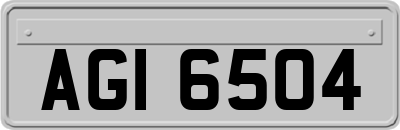 AGI6504