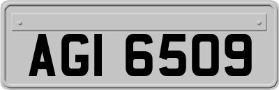 AGI6509