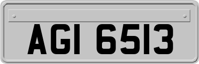 AGI6513