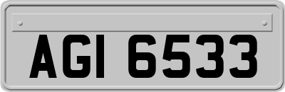 AGI6533