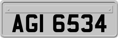AGI6534