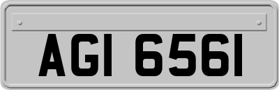 AGI6561